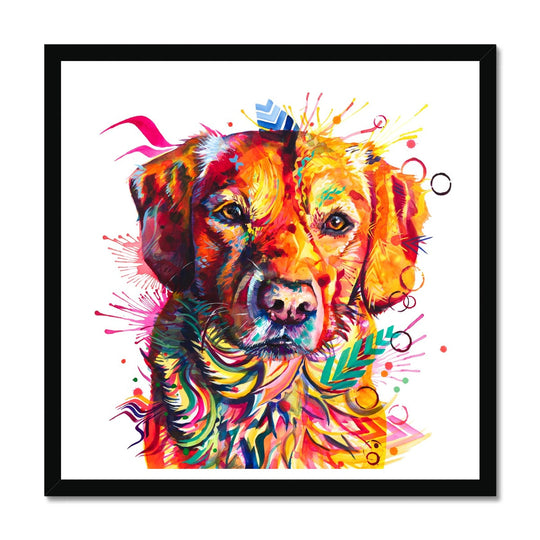 Brodie the Labrador Framed Print