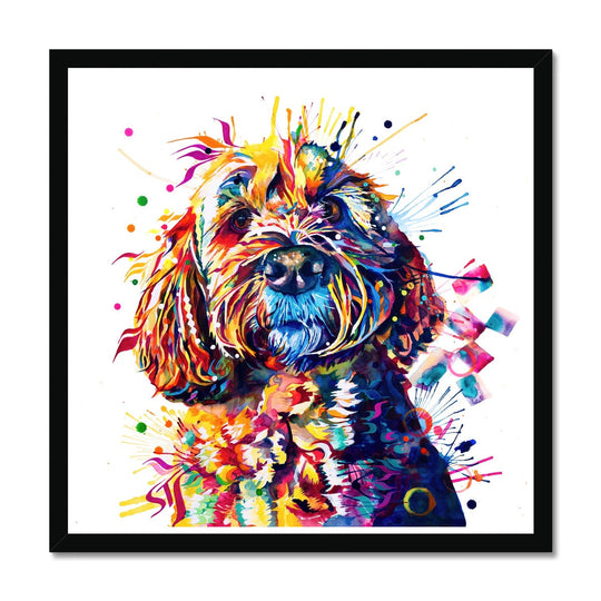 Barney the Cockapoo Framed Print