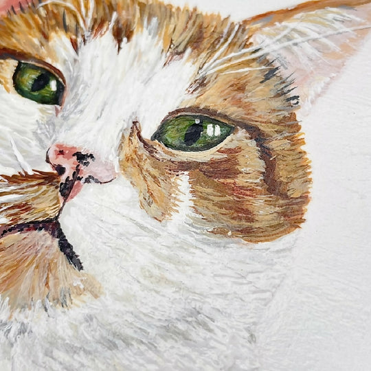 Pet Portrait Commissions