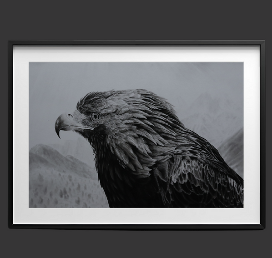 "Mountain Majesty", golden eagle portrait, giclee art print in black and white