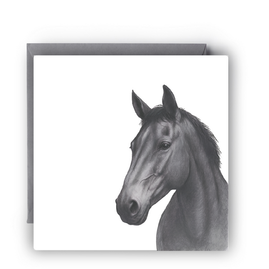 Hand drawn horse greeting card illustration for equestrian lovers