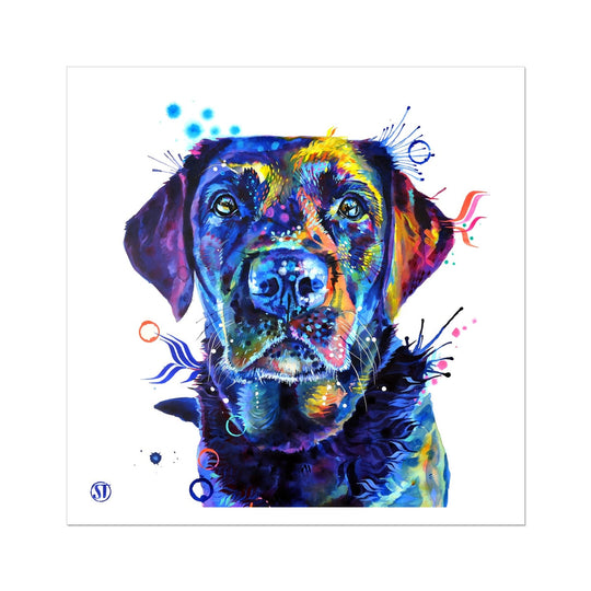 Neli the Black Labrador Fine Art Print