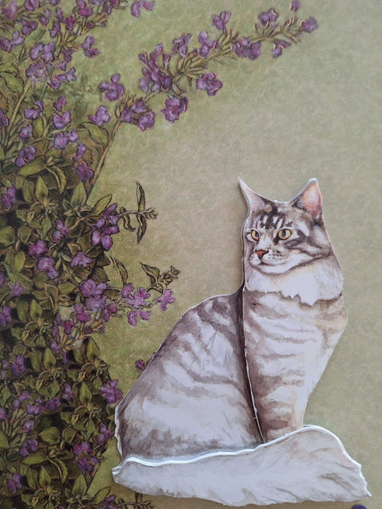 Lilac Time Cat