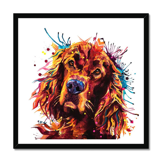 Freddy the Irish Setter Framed Print
