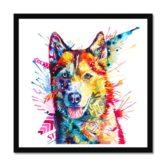 Luna the Husky Framed Print