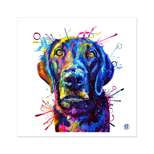 Tommy the Labrador Fine Art Print