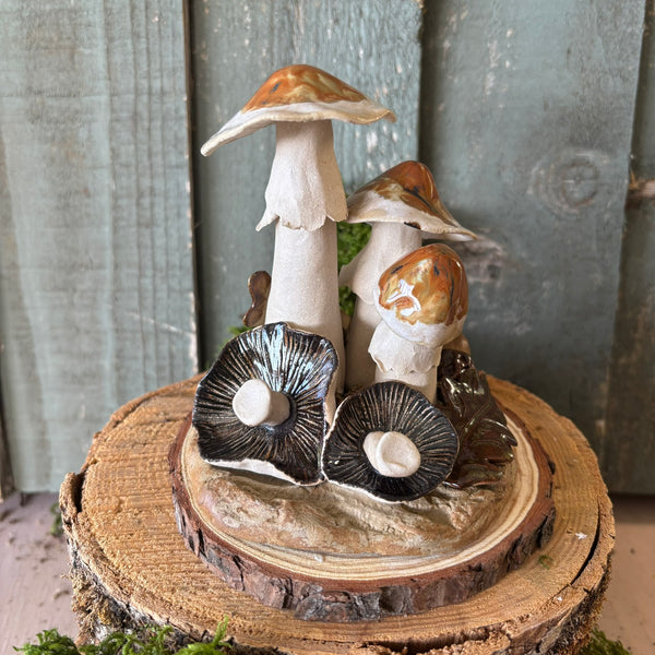 Pottery Toadstool Oakleaf Group in Creams and Browns