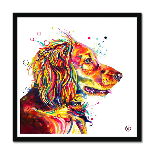 Wesley the Cocker Spaniel Framed Print