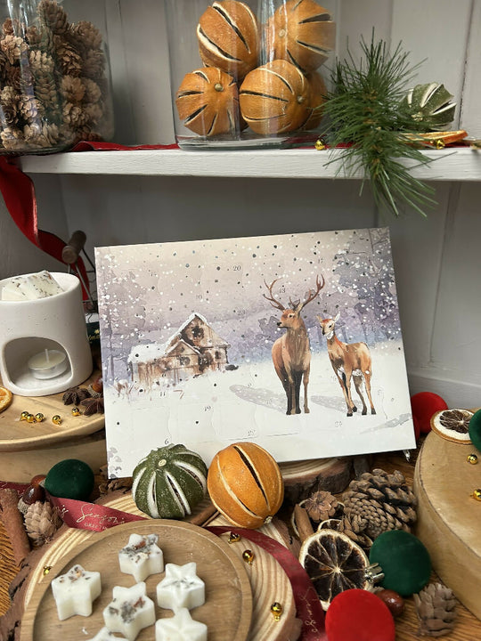 Christmas Wax Melt Advent Calendar
