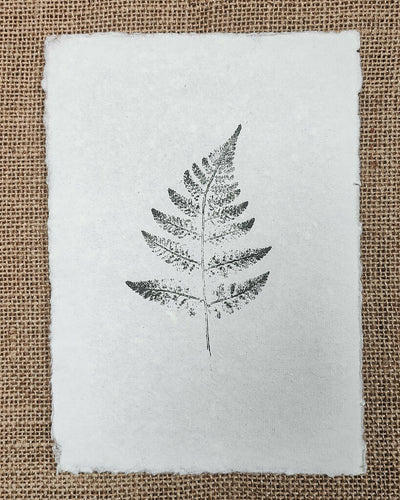 Set of 3 Original Fern Leaf Prints