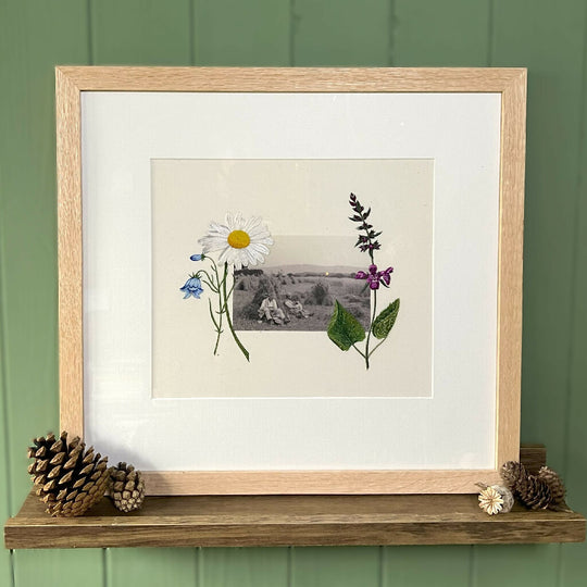 Hand Embroidered Art - Rophites Quinquespinosus