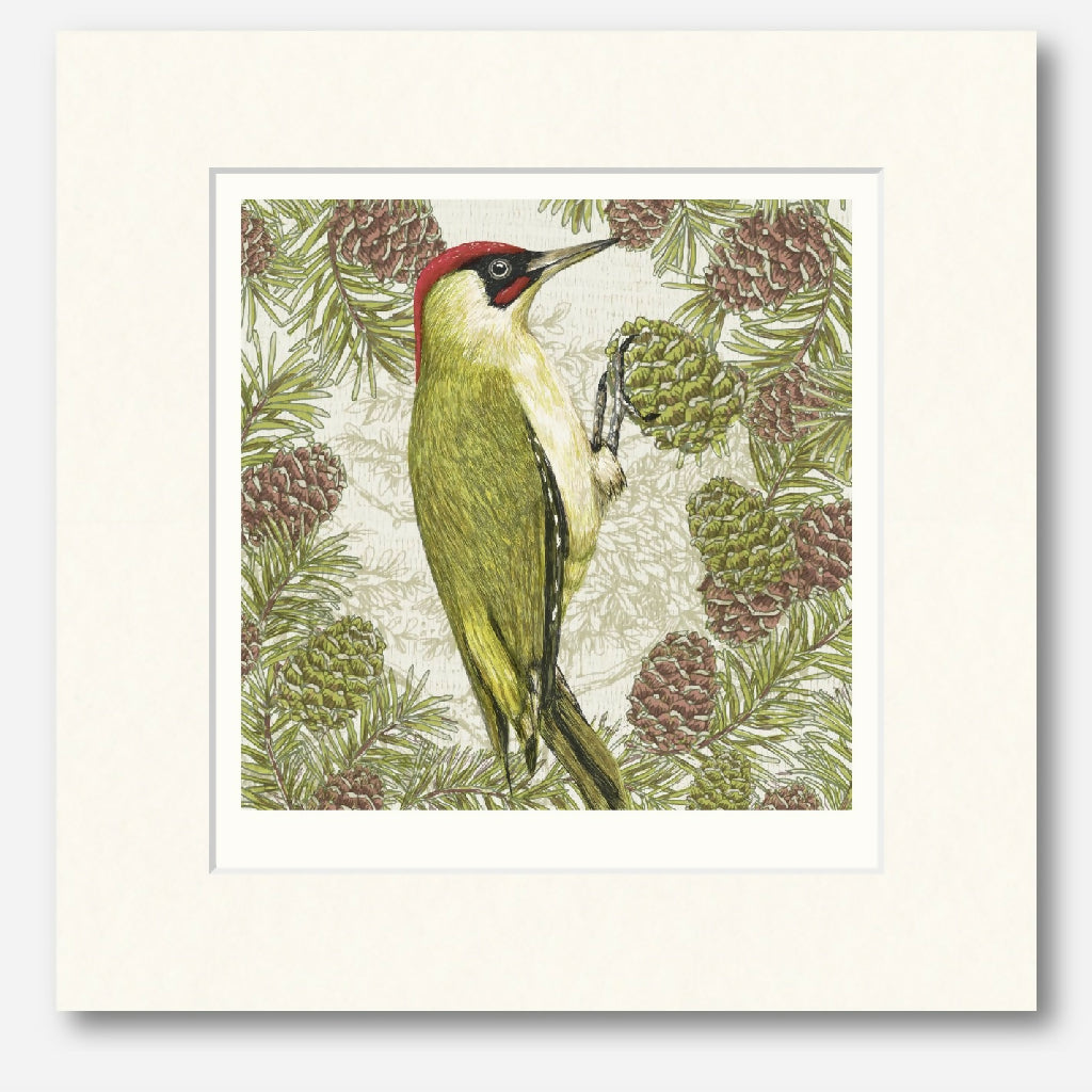 Green Woodpecker - Signed and mounted Giclée Art Print