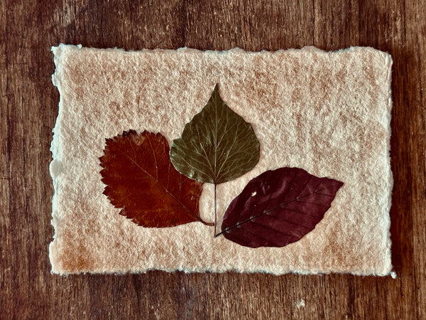 Vintage Autumn Themed Landscape Natural Leaf Collage