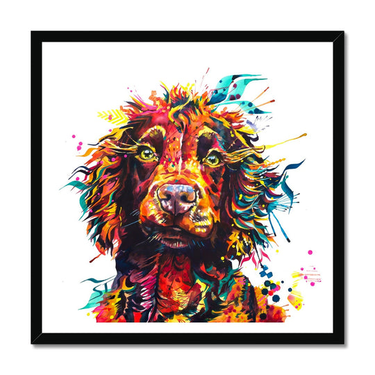 Teddy the Cocker Spaniel Framed Print