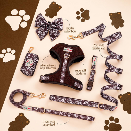 Choco Teddy Floral Dog Lead (Strength Tested)