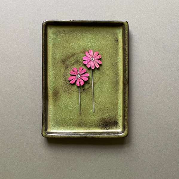 Red Campion Plant Pot Companions