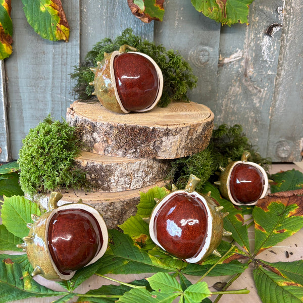 Horse chestnut Conker in shell. stoneware pottery ornament