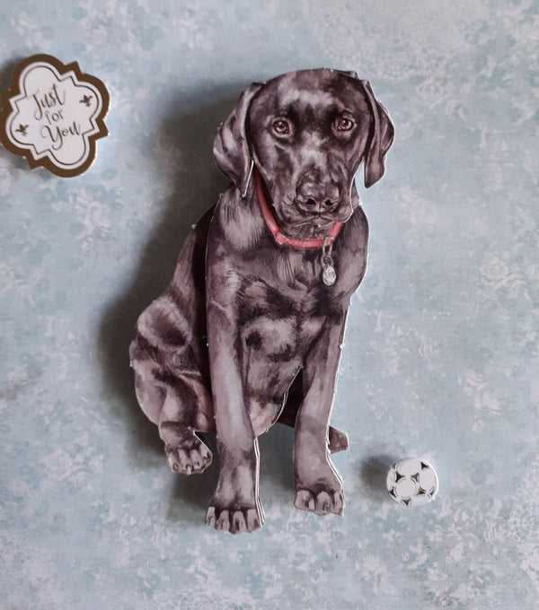Play With Me