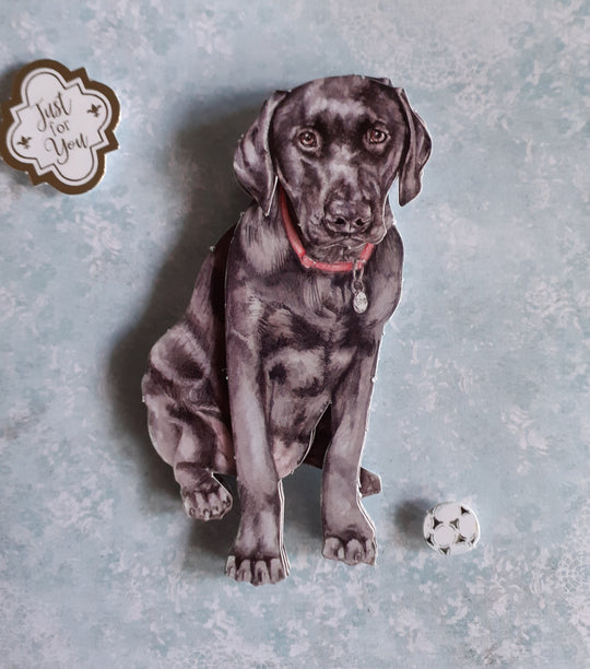 Play With Me