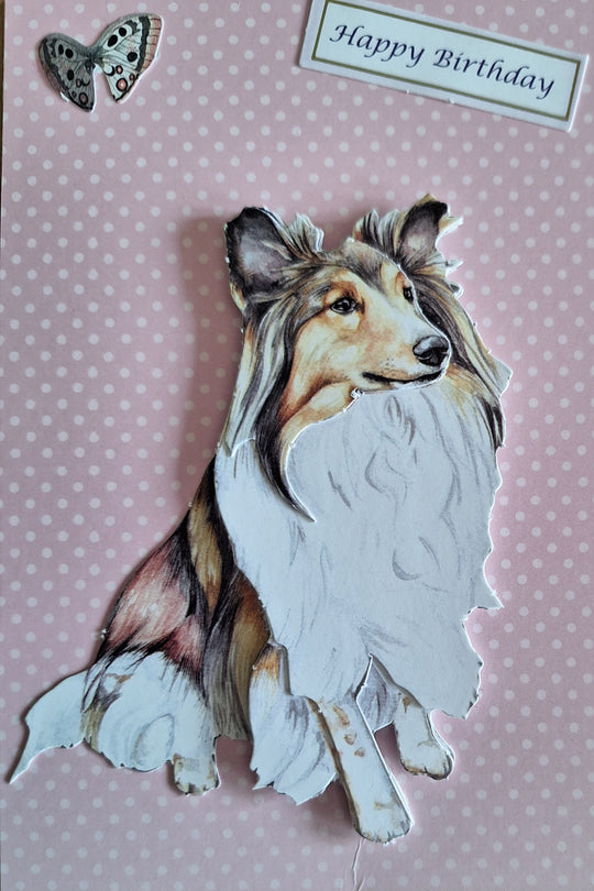 Birthday Collie