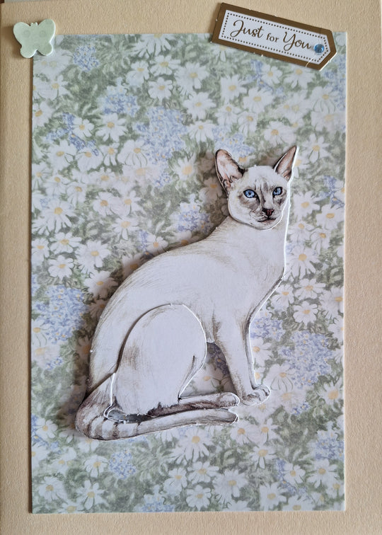 I Am Siamese