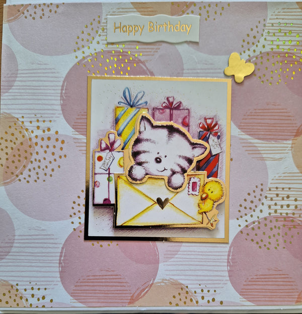 Birthday Suprise