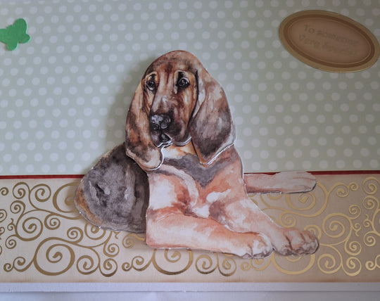 Special Bloodhound