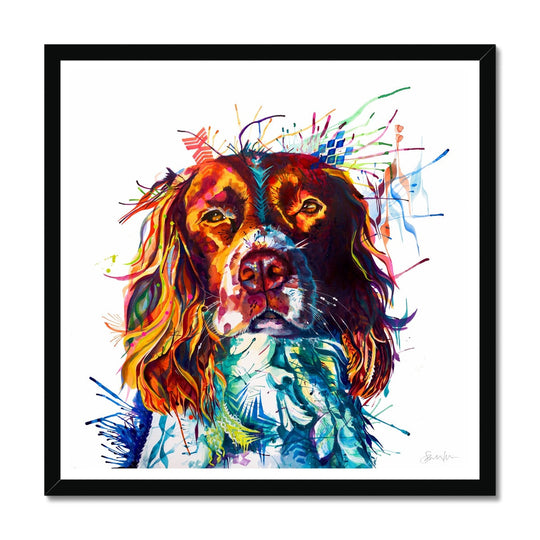 Spruce the Springer Spaniel Framed Print
