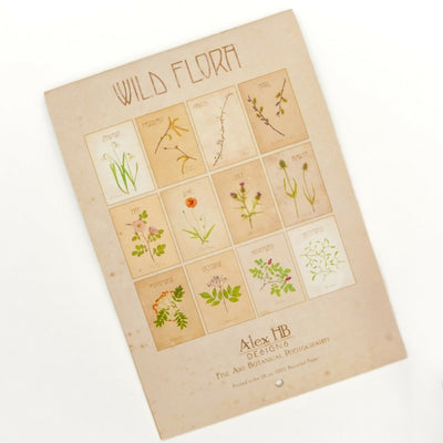 Wild Flora 2025 Wall Calendar