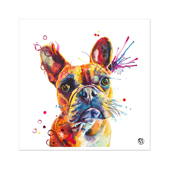 Stella the Frenchie (French Bulldog) Fine Art Print