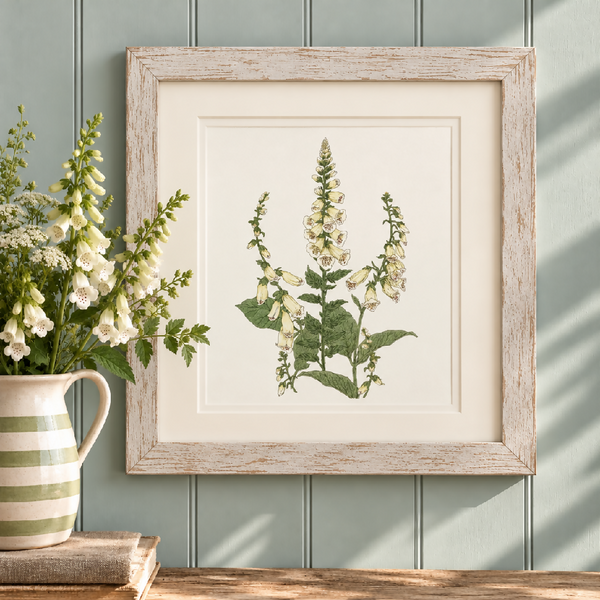 Foxglove Signed and Mounted Giclée Art Print