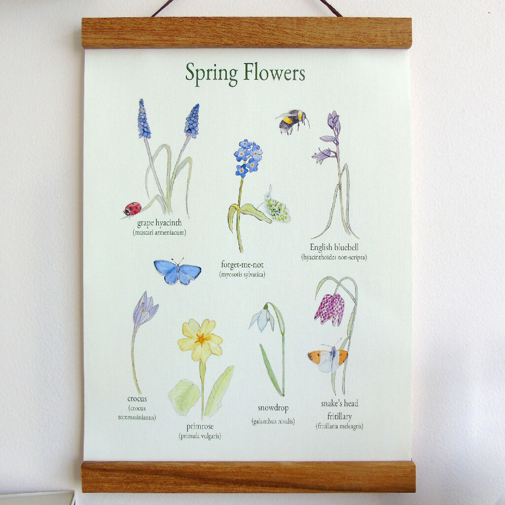 floral poster