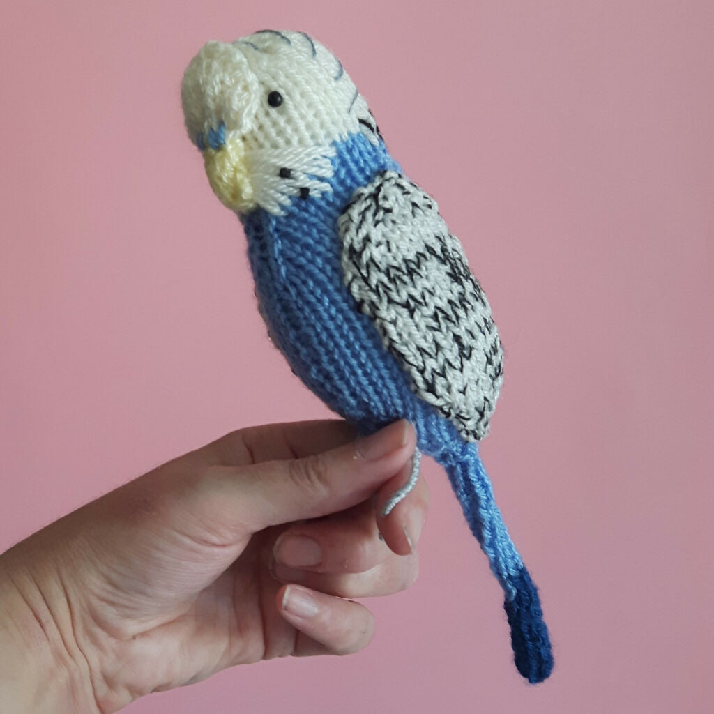 knitted budgie by Nicky Stewart