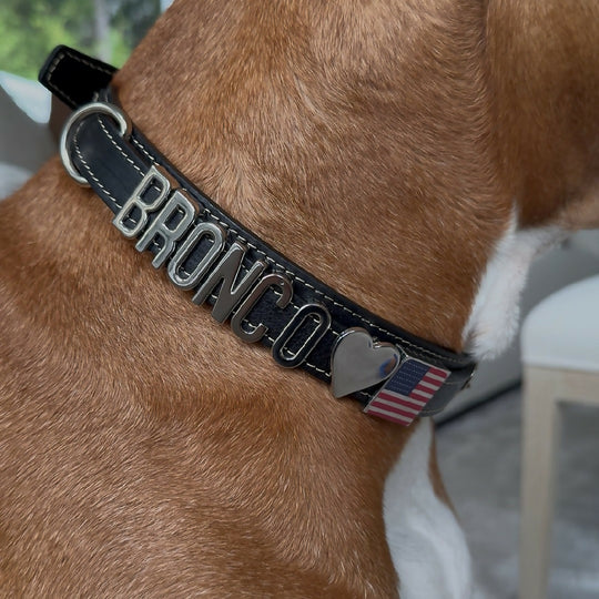 The Signature Leather Collection | Customisable Premium Italian Leather Collar in Black, Brown, Blue, or Red