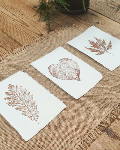 Set of 3 Maple and Oak Original Leaf Prints
