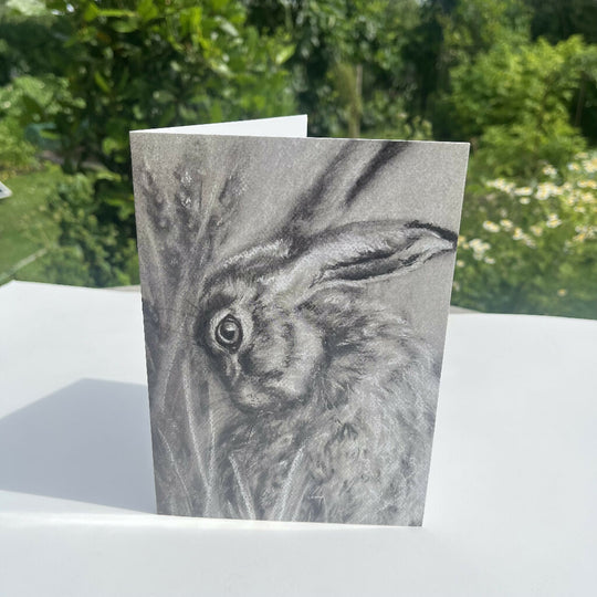 Hare at Rest Greeting Card