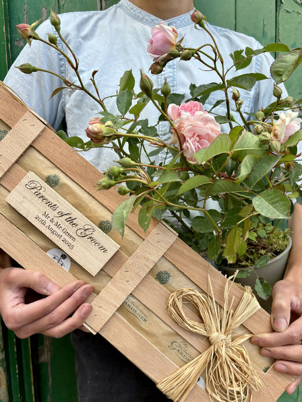 Rose parents groom holding crate