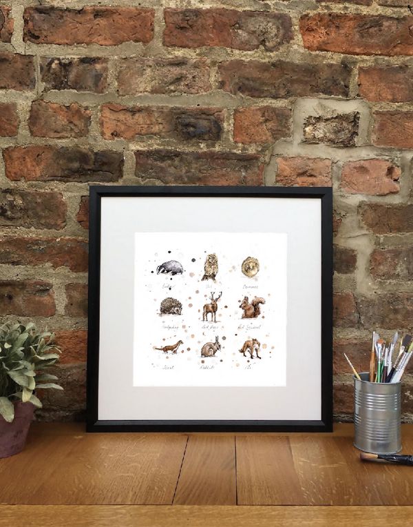 Woodland Wildlife | signed Limited Edition Print