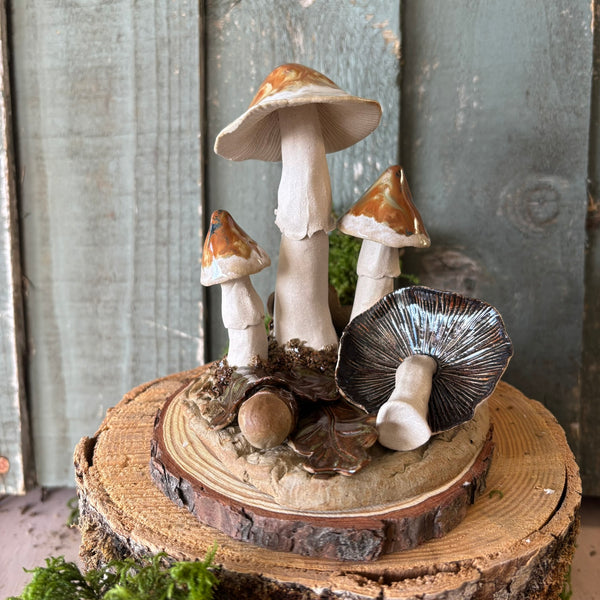 Pottery Toadstool Oakleaf Group in Creams and Browns
