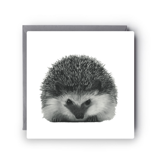 Cute hedgehog greeting card for birthdays and nature lovers