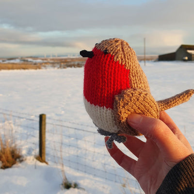 knitted robin in the snow