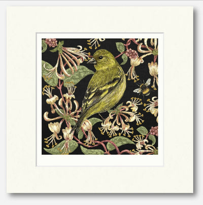 Siskin - Signed and Mounted Giclée Art Print