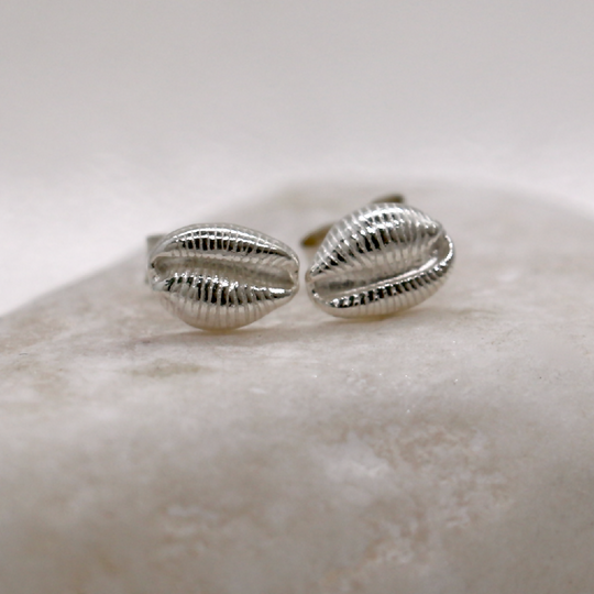 Silver Cowrie Shell Stud Earrings