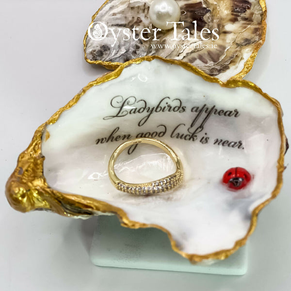 Ladybirds appear.... - Oyster Ring/Trinket Dish