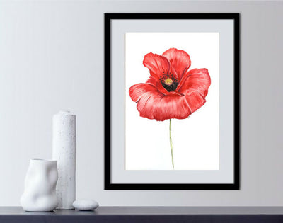 Poppy Watercolour - Special Edition Numbered Print