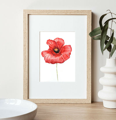 Poppy Watercolour ORIGINAL painting - A4 Mounted on white A3