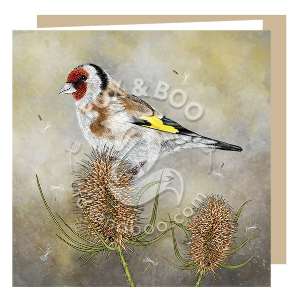 Greeting card design from Fox and Boo featuring a goldfinch perched on a teasel