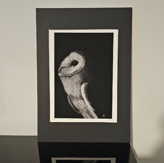 Bathed by Ethereal Moonlight - mounted barn owl art print, A4 size, black and white