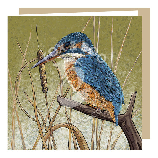 Kingfisher Blues Greeting Card