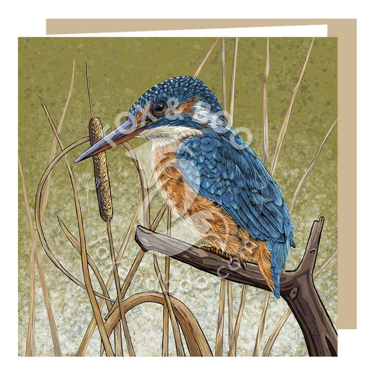 Kingfisher Blues Greeting Card